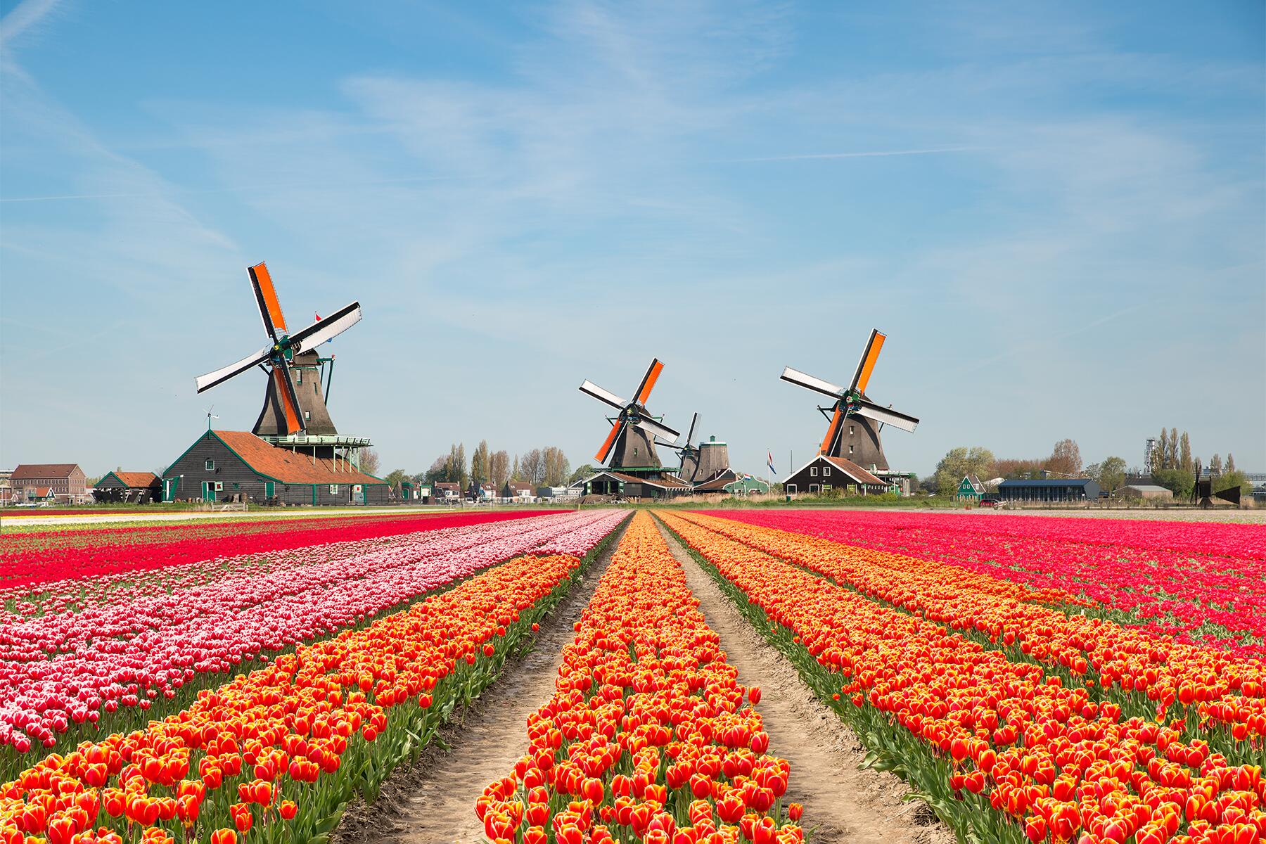 CELEBRA TU GRADUACION POR DUBLIN, LONDRES, AMSTERDAM Y PARIS - 19 JUNIO 2026