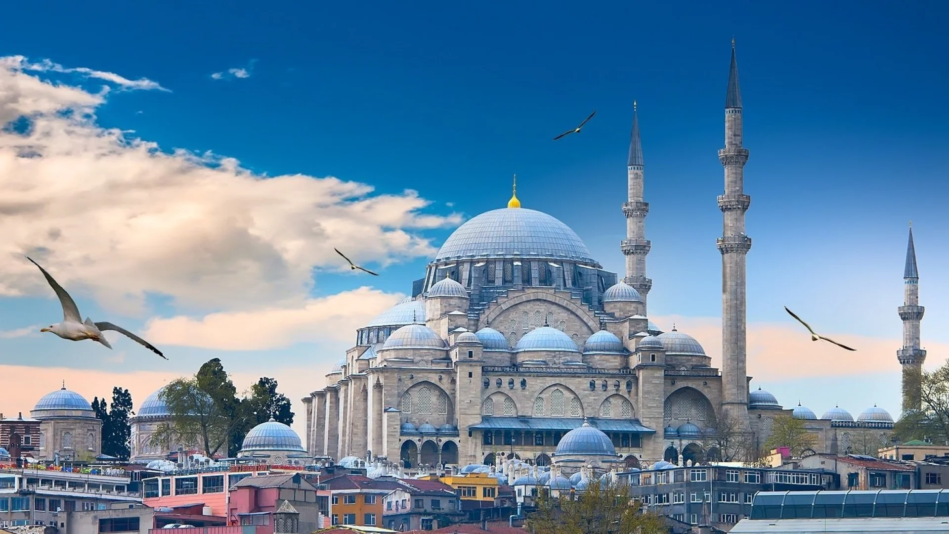 Turquia y Jordania con Petra