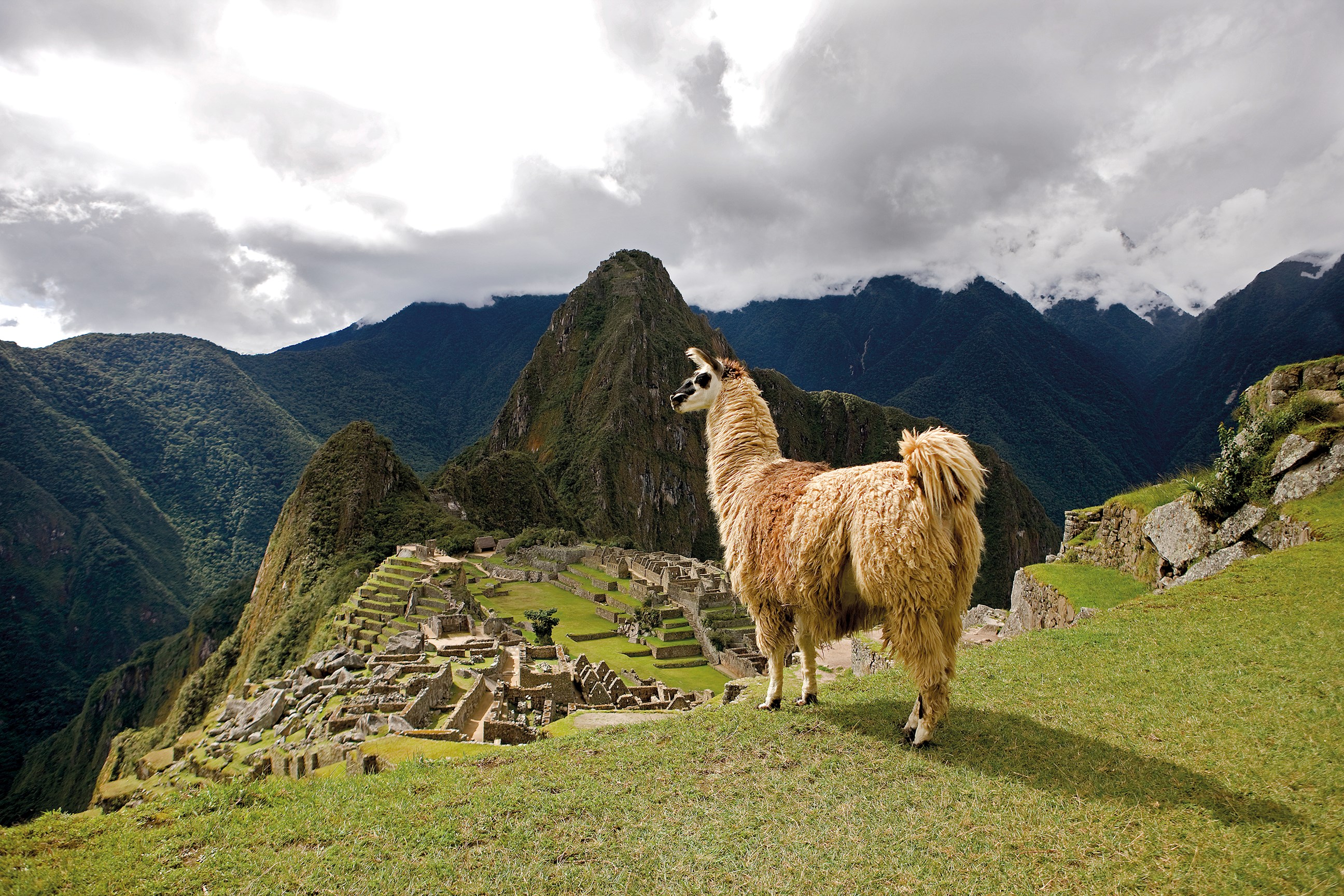 Foto del tour